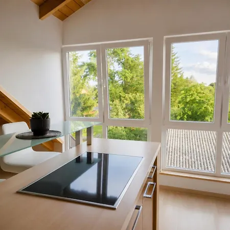 Apartman Ueber Den Daechern Von Forstlahm - Kulmbach, Im Chalet-stil